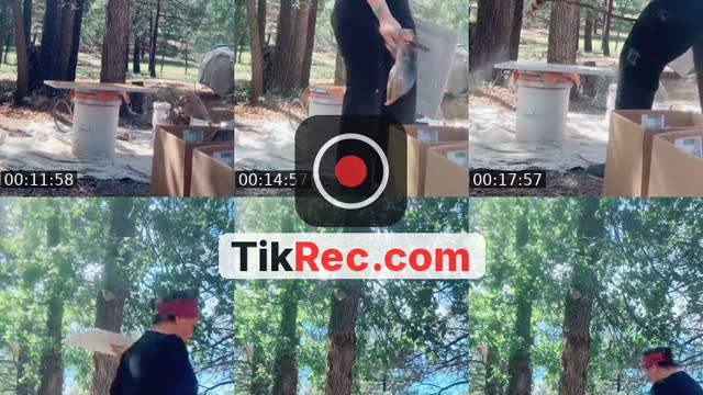 TikTok live: Shabesh como? by @_suzycuevas
