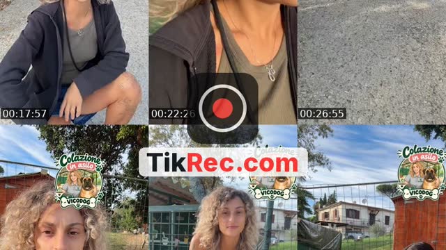 @asilovicodog TikTok live from 2026-09-22