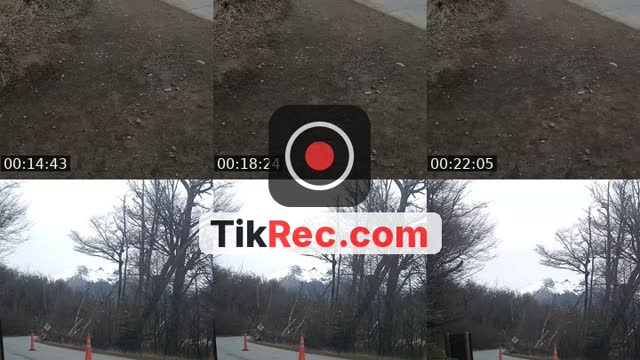 TikTok live: GLACIAR PERITO MORENO by @jonathan.torres2528