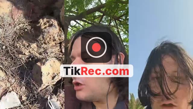 TikTok live: Lanzarote by @medicineh