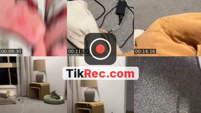 @mtich7 TikTok live from 2026-09-23