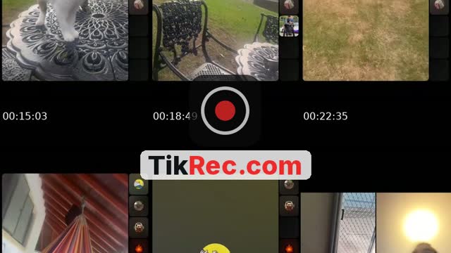 TikTok live: Missing Melbilla. 🥹🥹 by @lazy.mooch8