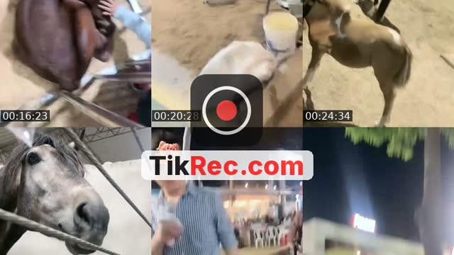 @meychorizosoficial TikTok live