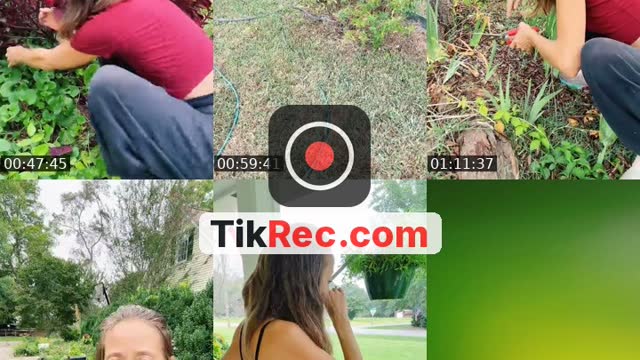 TikTok live: Happy Wednesday by @bsgardening