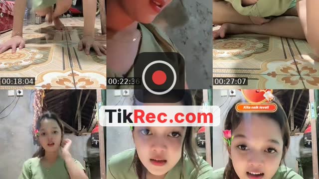 @doplhin TikTok live from 2026-09-23