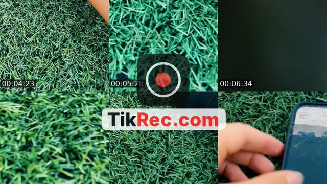 @nosoyd_8 TikTok live from 2026-09-23
