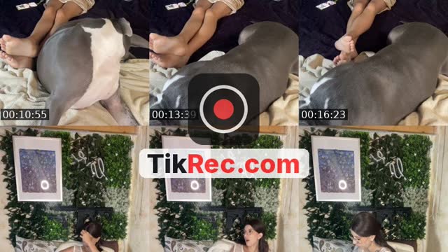 @lutinetavu TikTok live from 2026-09-23