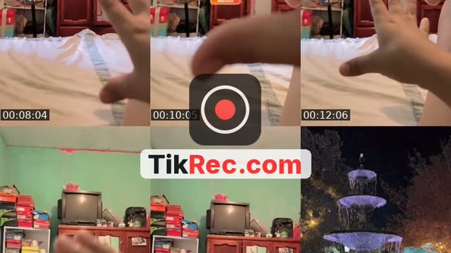 TikTok live: Que está pasando by @paletita_decolores