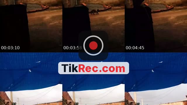 @user7803609064 TikTok live
