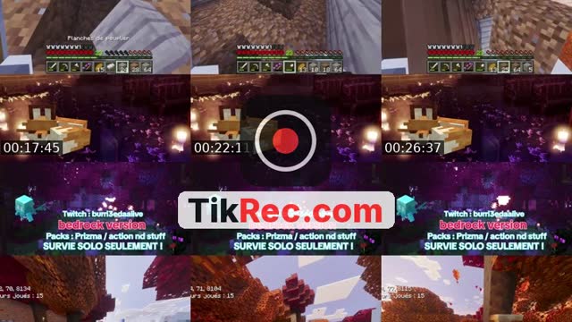TikTok live: DODO by @burri3dalive