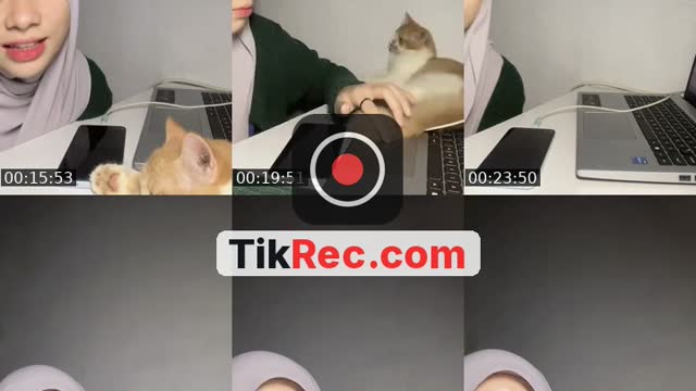 @hailnaa TikTok live from 2026-09-24