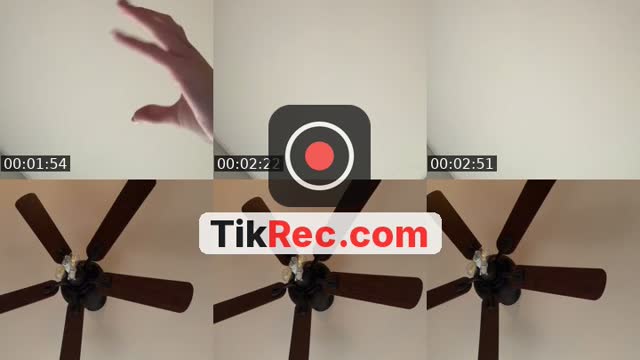 @monicasg.r TikTok live from 2026-09-24