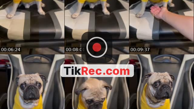 Russia TikTok live: Come here😍 by @liza00068