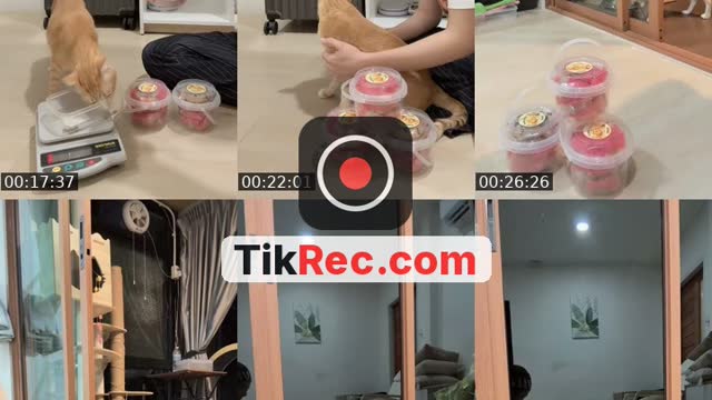 @tuazorfamily TikTok live