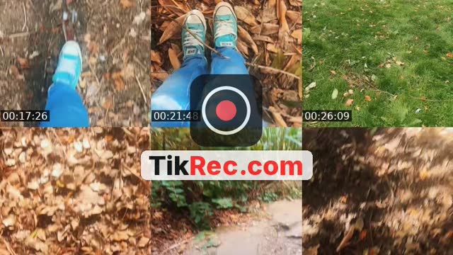 @tattiedbaddiexo TikTok live from 2026-09-24
