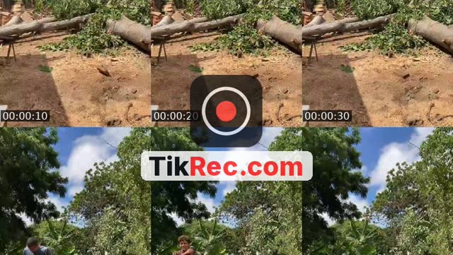 @mora22v TikTok live