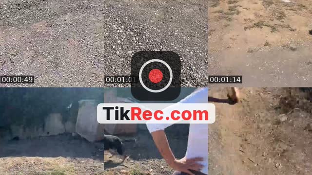 @shanti.farm.rescue TikTok live