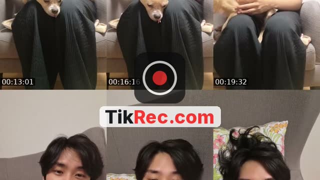 TikTok live: Dexter🐶 by @jakeybaee2