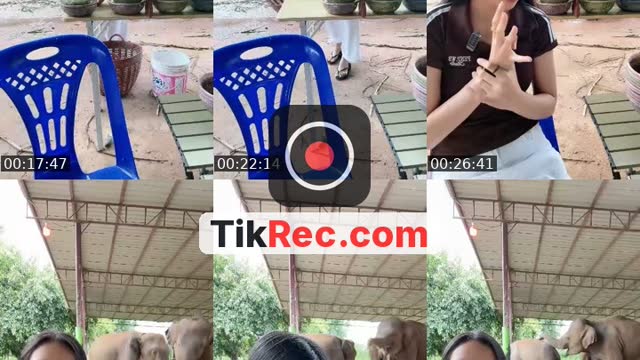 @cream_449900 TikTok live