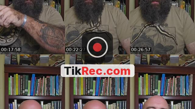 @project_reptilia TikTok live from 2026-09-26