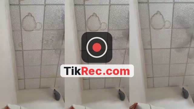 @princessdollex3 TikTok live