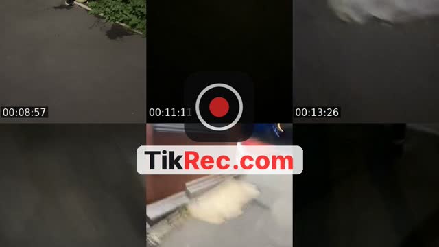 TikTok live: Doing milk mile by @aepalmtree