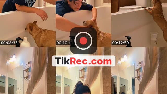@speedtease TikTok live from 2026-09-25