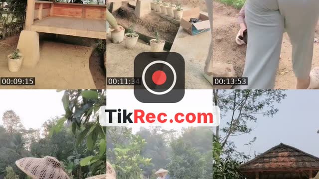 TikTok live: Bikin kita cape by @36_nissa
