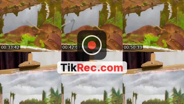 @ibrahimalaliartist TikTok live