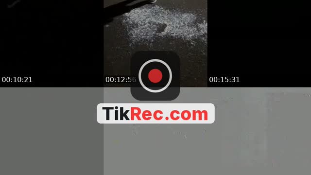 @aepalmtree TikTok live from 2026-09-26