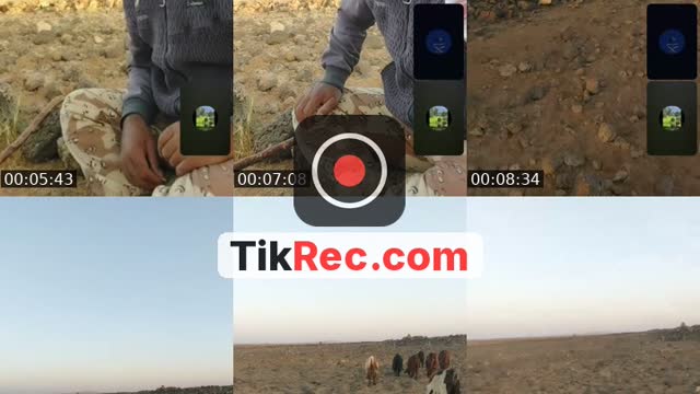 @taysir_almasaeid TikTok live from 2026-09-26