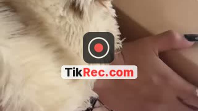 @paisitocomesito TikTok live