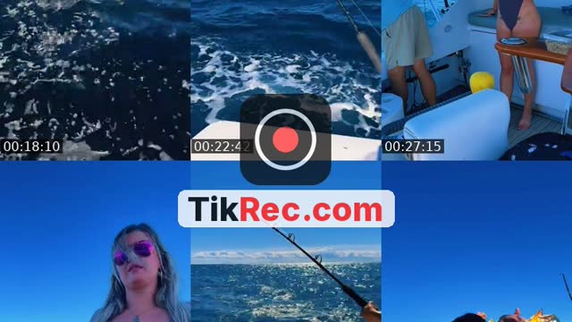 TikTok live: Sailfish?! 🎣🐝 by @goodtobefalon