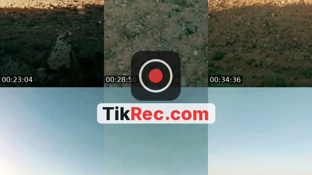 @taysir_almasaeid TikTok live