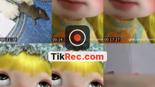 TikTok live: bercakap santai by @_lahssss