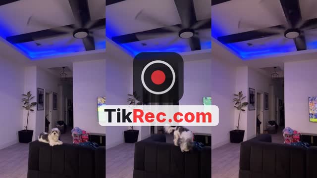@4dywizz TikTok live