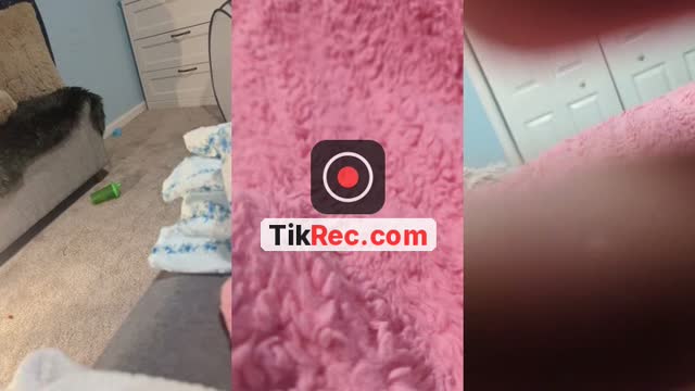 @shellflowers03 TikTok live