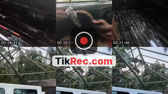 @7elebelle TikTok live from 2026-09-27