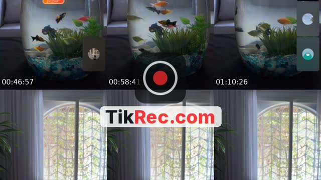 TikTok live: قستات ١٤٤٨/٤/١٦ هـ by @ammalysr
