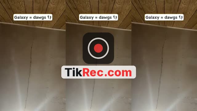 @tacocats49 TikTok live
