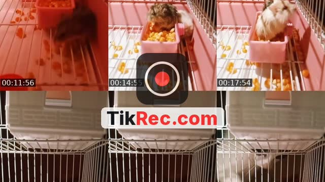 @limonadaaadefresaa TikTok live from 2026-09-28