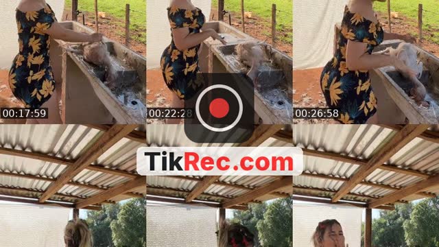 @dannylu250 TikTok live
