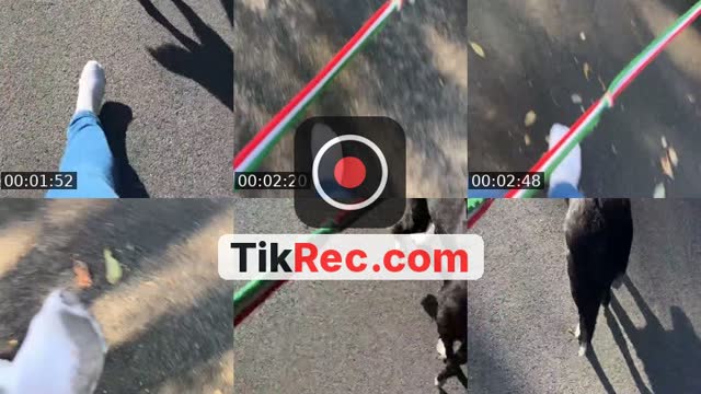 @oopsnoshoes TikTok live from 2026-09-28