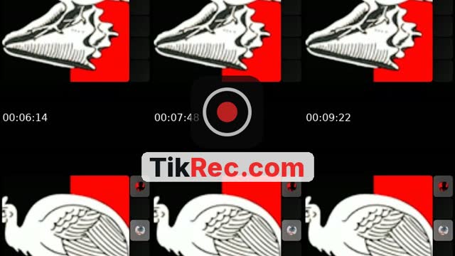 TikTok live: AN NOU INI POU HAYTI... by @jistispouhayti1804