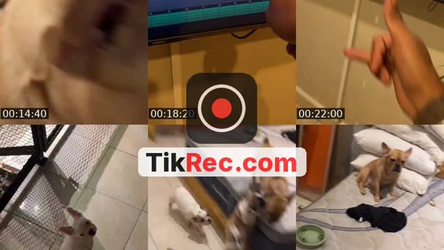 @ibusambung TikTok live from 2026-09-29