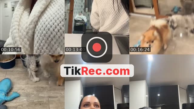@czinglinicolettzs TikTok live