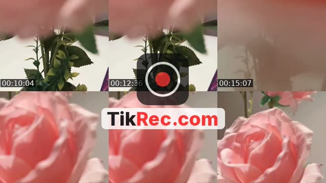 @qamra856 TikTok live