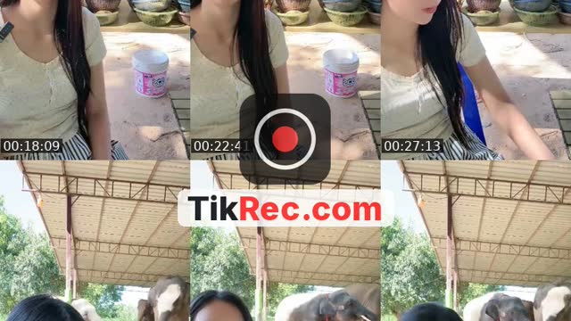 @cream_449900 TikTok live