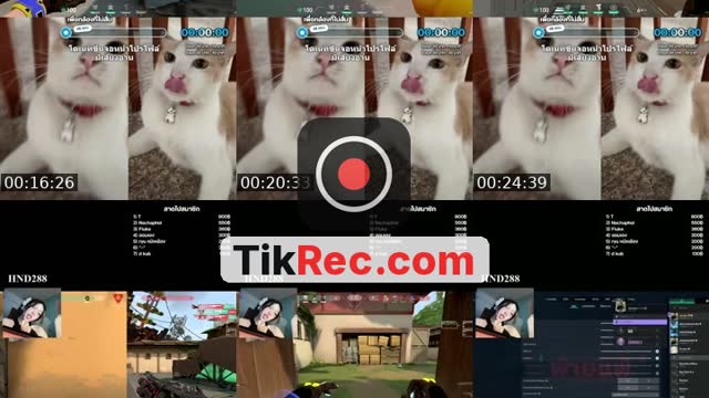 TikTok live: Try me VALO DAY15 #18+ #valorant by @mamungmeowmae