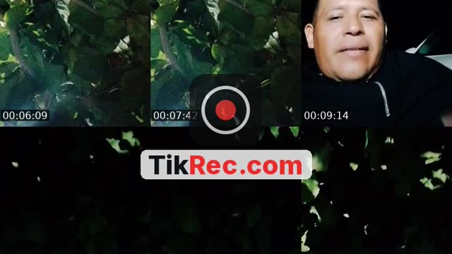 TikTok live: bienvenidos by @josecirino3d